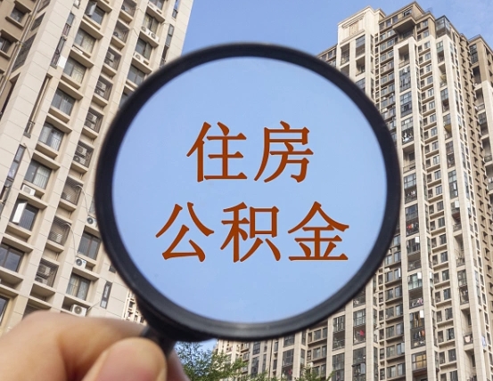 白沙退休后查不到公积金明细了吗（退休后公积金查询不到原因）